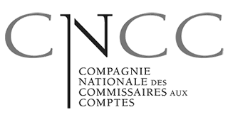 logo de la Compagnie Nationale des Commissaires aux Comptes dont dépend CommissaireAuxComptes.fr